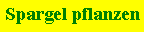 Textfeld: Spargel pflanzen